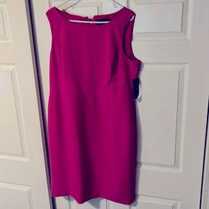 Pink size 18 dress by the black label